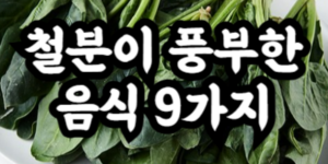 철분이 풍부한 음식 9가지