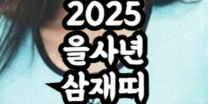 2025 을사년 청색뱀의해