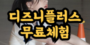 디즈니플러스 무료체험과 할인 방법 정리