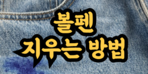 볼펜 지우는 방법
