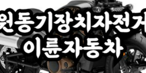 원동기장치자전거 이륜자동차