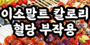 이소말트 칼로리 혈당 부작용