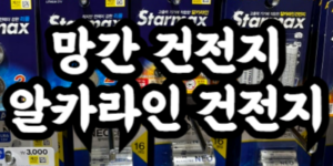 망간 건전지 알카라인 건전지