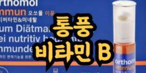 통풍 비타민