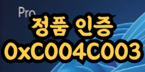 0xC004C003