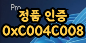 0xC004C008