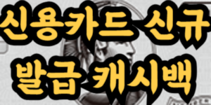 2025년 1월 신용카드 신규발급 캐시백