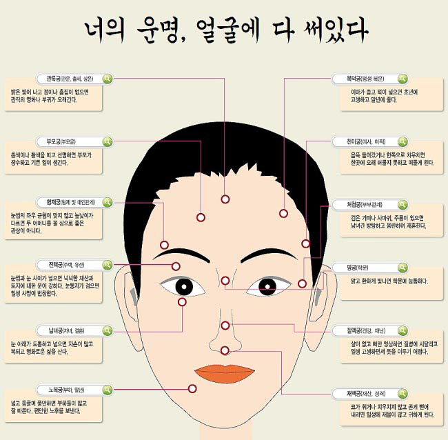 얼굴 관상으로 운명과 성격 확인 방법