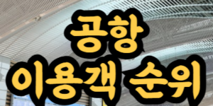 국내 공항 이용객 순위