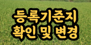 등록기준지 확인