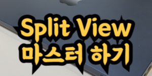 맥 Split View