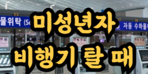 미성년자 혼자 비행기 탈 때