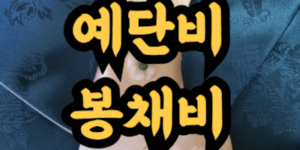 예단비와 봉채비