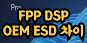 윈도우 FPP DSP OEM ESD 차이