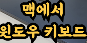 윈도우 키보드 맥에서 사용