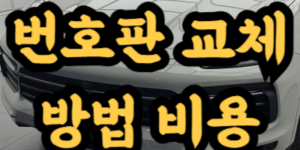 자동차 번호판 교체 방법