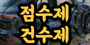 자동차보험 할증 점수제 건수제