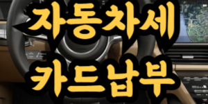 자동차세 카드납부