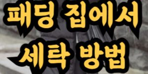 패딩 집에서 세탁