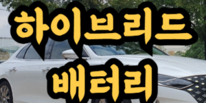하이브리드 자동차 배터리 수명