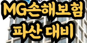 MG손해보험 파산