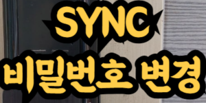 SYNC 도어락 비밀번호 변경