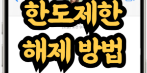 국민은행 한도제한계좌 해제