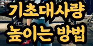 기초대사량 높이는 방법