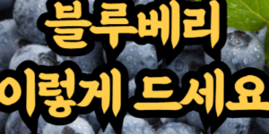 냉동 블루베리 효능