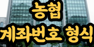 농협 계좌번호 형식