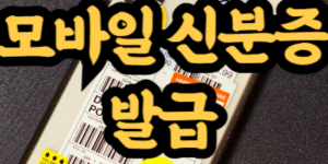 모바일 신분증 발급