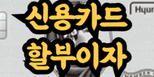 신용카드 할부이자 계산 방법