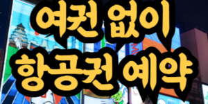 여권 없이 항공권 예약
