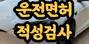 운전면허 갱신 및 적성검사