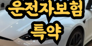 운전자보험 가입