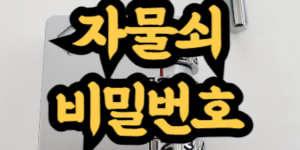 자물쇠 비밀번호