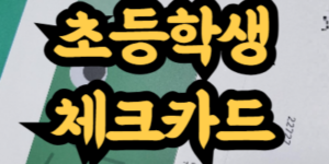 초등학생 체크카드