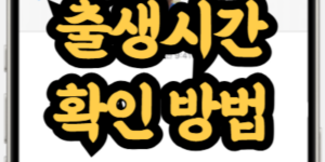출생시간 확인 방법