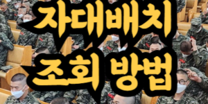 해병대 자대배치 조회