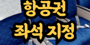 11번가 항공권 좌석 지정 방법