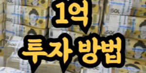 1억 원이 있다면 가장 좋은 투자 방법