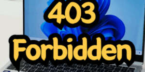 403 Forbidden 오류