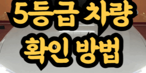 5등급 차량 확인 방법
