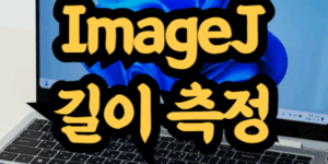 ImageJ 길이 측정 방법