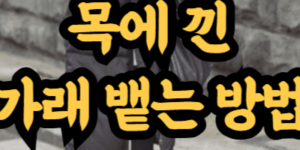 가래 뱉는 방법