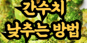 간수치 낮추는 방법