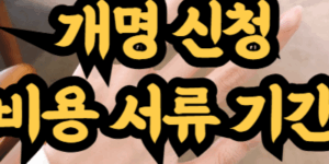 개명 신청