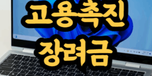 고용촉진장려금 대상자 및 신청 방법