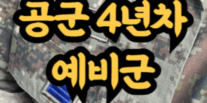 공군 4년차 예비군