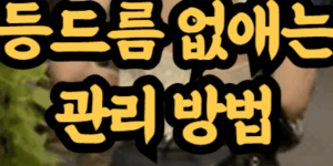 등드름 없애는 관리 방법